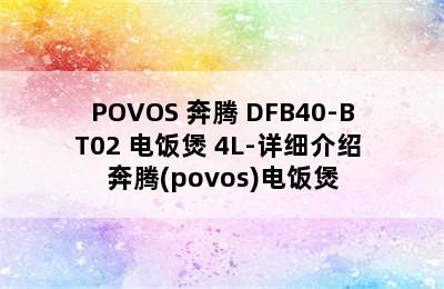 POVOS 奔腾 DFB40-BT02 电饭煲 4L-详细介绍 奔腾(povos)电饭煲